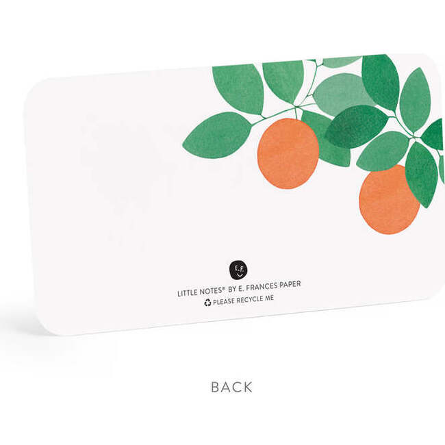 Set of 85 Little Notes®, Orange Grove - Paper Goods - 3