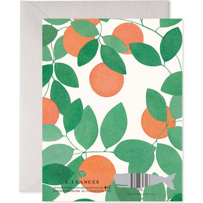 Boxed Set of 6, Orange Grove Thank you - Gift Cards - 3