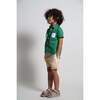 Frank Golf Shorts, Petra - Shorts - 6