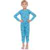 2-Pack Pajamas, Blue Dinosaurs/Dark Dinosaurs - Pajamas - 2