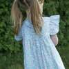 Girls Hannah Dress with Flutter Sleeves, Pastel Green and Peach - Dresses - 4