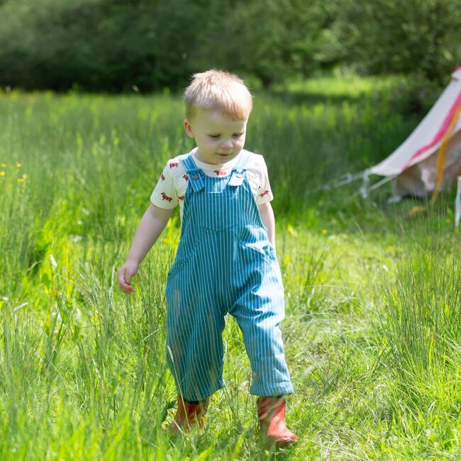 Horizon Blue Striped Roll Up Dungarees, Blue - Pants - 2