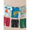 Playwear Shorts 2.0, Botany Green - Shorts - 2