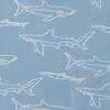 Kids Shark Print Buttondown Set, Blue - Mixed Apparel Set - 7