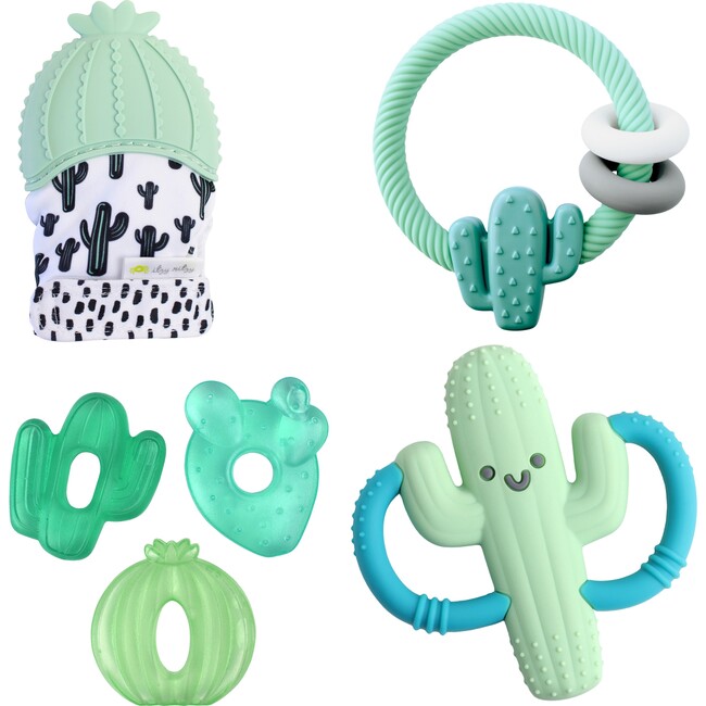 Cactus Teething Kit