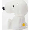 Mr Maria Snoopy First Light - Lighting - 2