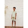 Arthur Shorts, Aquamarine Stripe - Shorts - 2
