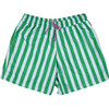 Men's Summer Stripes Swim Shorts - Swim Trunks - 1 - thumbnail