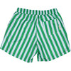 Men's Summer Stripes Swim Shorts - Swim Trunks - 2