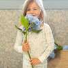 Pima Pajama Set 2-Pack Hydrangea & Magnolia - Pajamas - 2