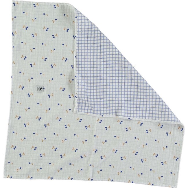 Baby Swaddles Blue floral