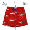 Holly & Beau Sharks Color Changing Swim Trunks - Swim Trunks - 1 - thumbnail