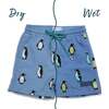 Holly & Beau Penguin Color Changing Swim Trunks - Swim Trunks - 1 - thumbnail