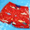 Holly & Beau Sharks Color Changing Swim Trunks - Swim Trunks - 7