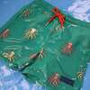 Holly & Beau Octopus Color Changing Swim Trunks - Swim Trunks - 7