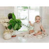 Mellow Moments Boys Ensemble Quarry - Mixed Apparel Set - 3