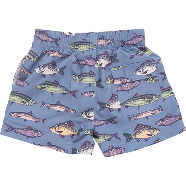 Boys Swim Trunk, Bluestone Multi Fishies - Swim Trunks - 4