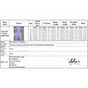 Lavender Crystal Hearts Set - Mixed Apparel Set - 5