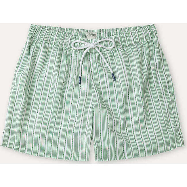 Men's Swim Shorts,Green Stripes
