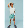 Boy's Swim Shorts, Green Puffer Fish - Swim Trunks - 7