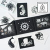 Developmental Bundle for Baby - Ocean - Developmental Toys - 2