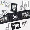 Developmental Bundle for Baby - Safari - Developmental Toys - 3