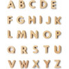Alphabet Adventure Bundle - Developmental Toys - 4