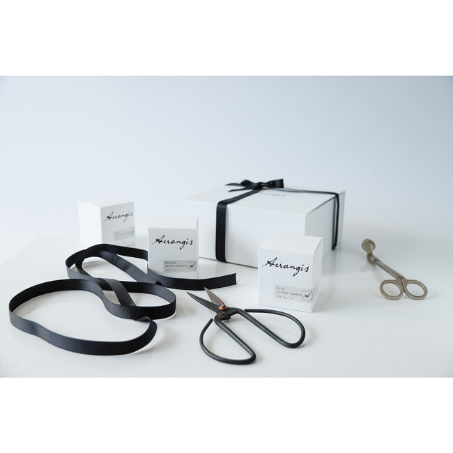 Discovery Journey Gift Set