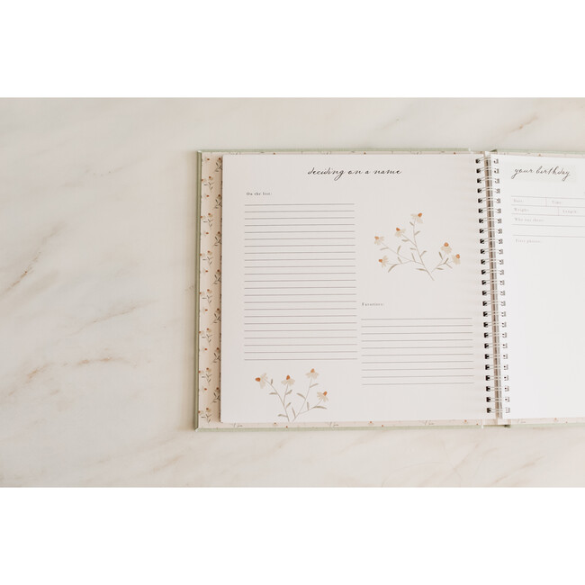 Pregnancy Journal - Moss Green - Books - 5