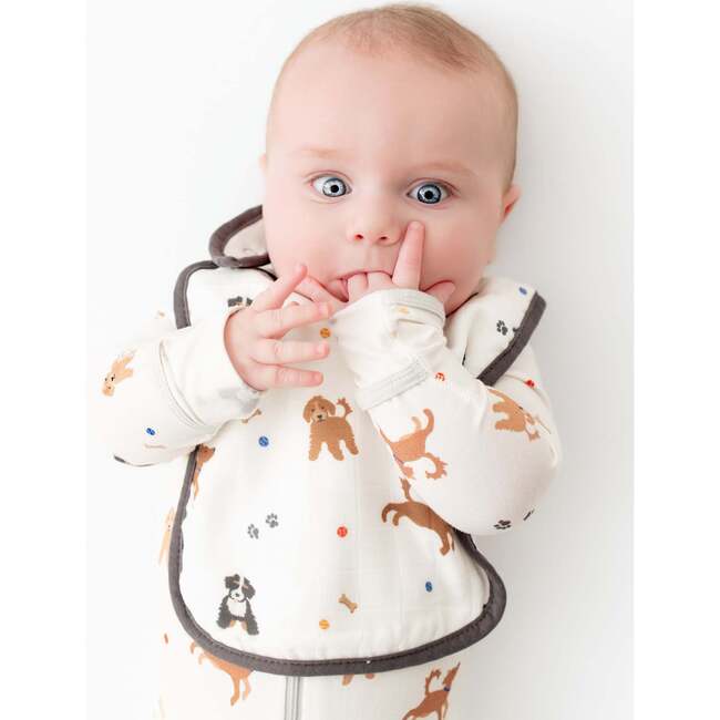 Bib Set, Dogs - Bibs - 5