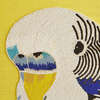 Parakeet Beaded Art - Art - 2