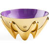 Oscar Amethyst Bowl - Accents - 1 - thumbnail