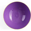Oscar Amethyst Bowl - Accents - 2