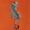 Leopard Embellished Throw - Throws - 3