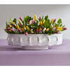 Dora Maar Long Bowl - Accents - 4