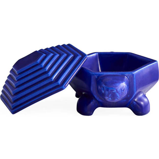 Cobalt Turtle Box - Accents - 3