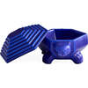 Cobalt Turtle Box - Accents - 3