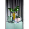 Bel Air Test Tube Vase, Yellow - Vases - 2