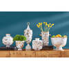 Botanist Snake & Apple Bowl - Accents - 4
