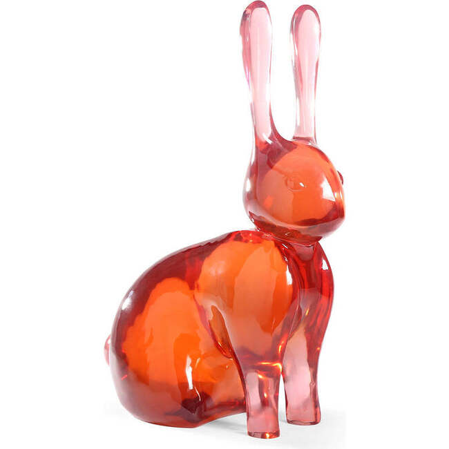 Acrylic Rabbit Objet