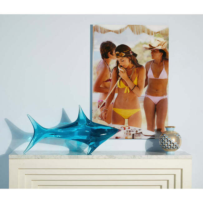 Acrylic Shark Objet - Accents - 4