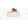 Maisonette x Gathre Ball Pit, Paris - Play Kits - 7