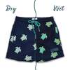 Holly & Beau Turtles Color Changing Swim Trunks - Swim Trunks - 1 - thumbnail