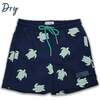 Holly & Beau Turtles Color Changing Swim Trunks - Swim Trunks - 2