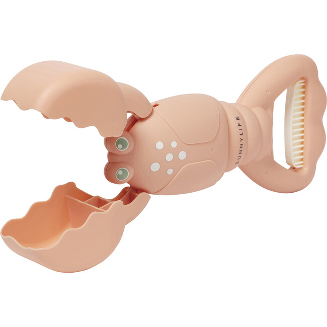 Sand Claws: Lobster, Coral
