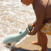 Sand Claws: Whale, Green - Pool Toys - 3
