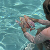 Dive Buddies: Melody The Mermaid - 3pk, Multi - Water Toys - 5