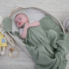 Panache, Mint - Blankets - 5