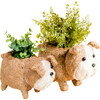 Mama and Baby English Bulldog Planter Set - Pots - 1 - thumbnail