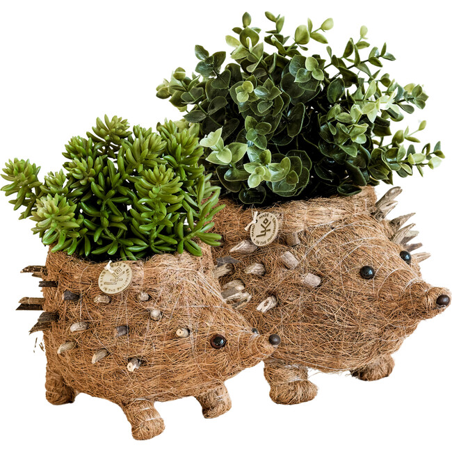 Mama and Baby Hedgehog Planter Set